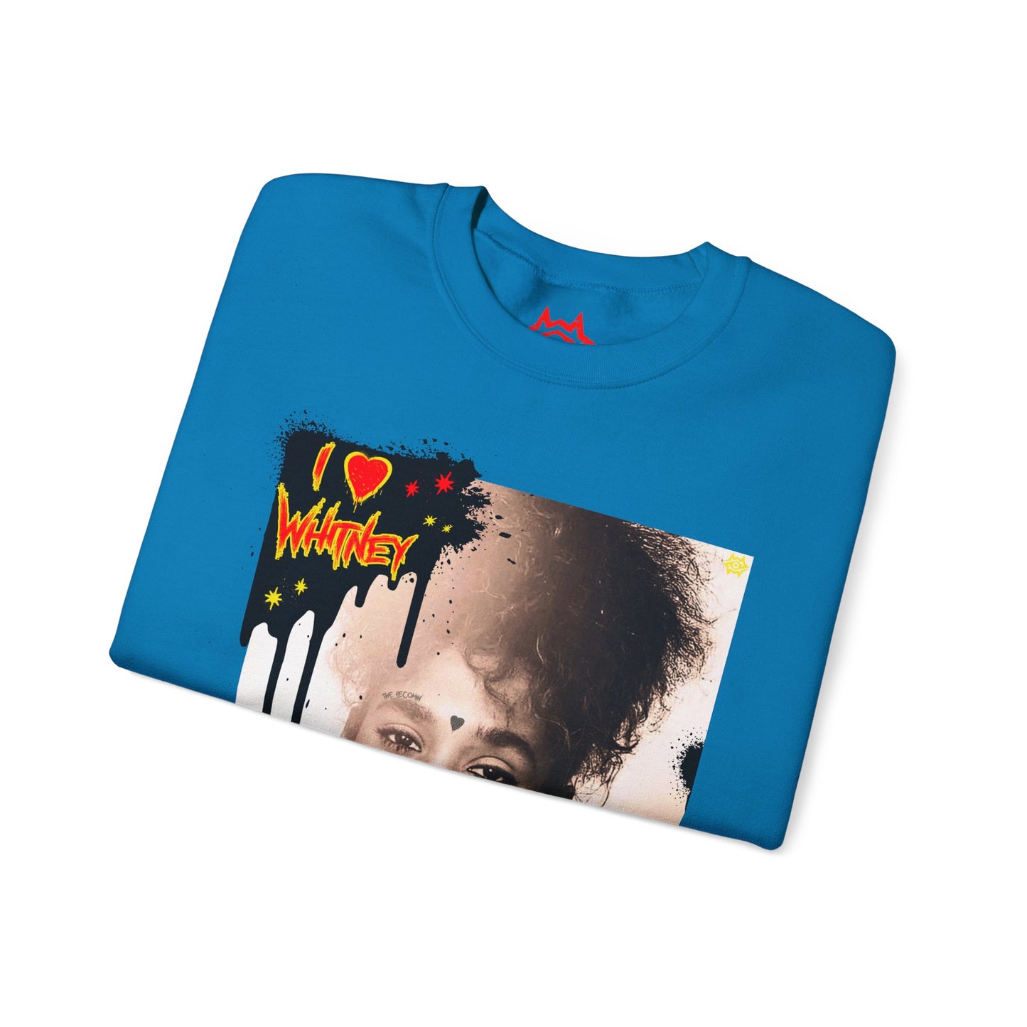 Sweatshirt - Whitney tribute